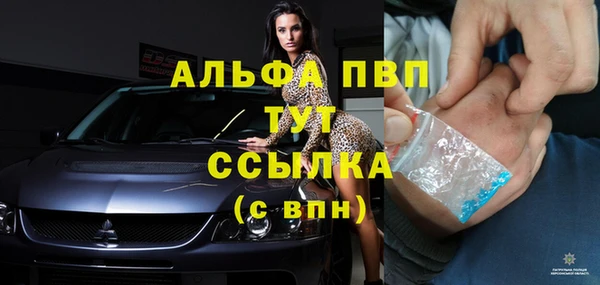 индика Покровск