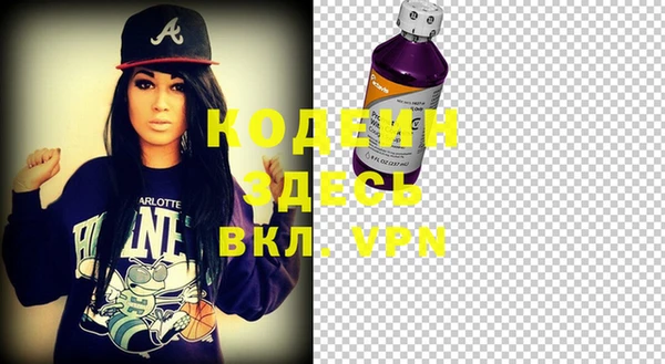 индика Покровск